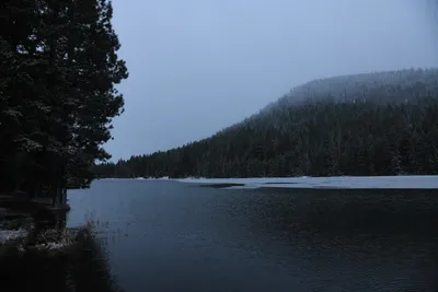 DSC_5800 (Large).JPG